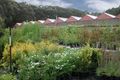 Property photo of 84 Rankins Road Monbulk VIC 3793