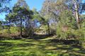 Property photo of 1318 Lower Bielsdown Road Tallowwood Ridge NSW 2453