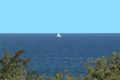 Property photo of 4/21 Driftwood Close Caves Beach NSW 2281