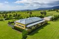Property photo of 665 Sams Corner Road Mogilla NSW 2550