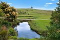 Property photo of 656 Bangalow Road Talofa NSW 2481