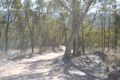 Property photo of 1006 Tea Tree Road Roseberg NSW 2793