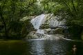 Property photo of 47 Frenchman Creek Road Babinda QLD 4861