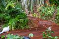 Property photo of 81 Cogill Road Buderim QLD 4556