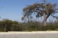 Property photo of 28 Mannikin Heights Beeliar WA 6164