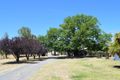 Property photo of 98 Old Gap Road Manton NSW 2582