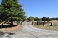Property photo of 98 Old Gap Road Manton NSW 2582
