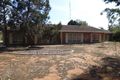 Property photo of 31 Collingwood Street Risdon Park SA 5540