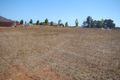 Property photo of 37 Argyll Avenue Bridgetown WA 6255