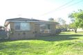 Property photo of 38 Christine Street Northmead NSW 2152