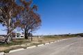 Property photo of 76 Blizzard Circuit Forde ACT 2914
