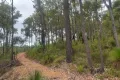 Property photo of Brockman Highway Nannup WA 6275