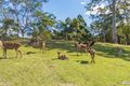 Property photo of 391 Goodla Road Sandy Creek QLD 4515