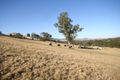 Property photo of 8 Lawrances Road Yea VIC 3717