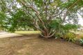 Property photo of 7 Ronald Crescent Benaraby QLD 4680