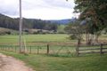 Property photo of 352 St Columba Falls Road Pyengana TAS 7216
