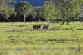 Property photo of 127 Platts Road Carmila QLD 4739