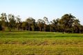 Property photo of 17 Lillypilly Place Regency Downs QLD 4341