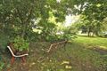 Property photo of 88 Cullen Street Nimbin NSW 2480
