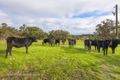 Property photo of 1529 Millbrook Road King River WA 6330