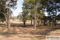 Property photo of 65 Waterloo Road Roelands WA 6226