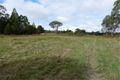 Property photo of 221 Diamondvale Road Diamondvale QLD 4380