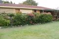 Property photo of 31 Camellia Drive Bongaree QLD 4507