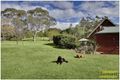 Property photo of 71 Applegum Grove Kurrajong NSW 2758