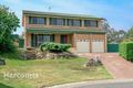 Property photo of 19 Thompson Place Minto NSW 2566