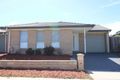 Property photo of 60 Elizabeth Jolley Crescent Franklin ACT 2913
