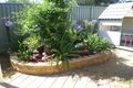 Property photo of 4 Cobbler Crescent Minchinbury NSW 2770