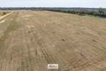 Property photo of 62 Cootamundra Avenue Red Cliffs VIC 3496