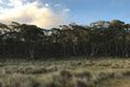 Property photo of LOT 1 Creewah Road Creewah NSW 2631