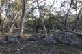 Property photo of LOT 1 Creewah Road Creewah NSW 2631