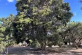 Property photo of 58 Spring Creek Road Killarney QLD 4373