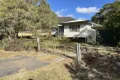 Property photo of 58 Spring Creek Road Killarney QLD 4373