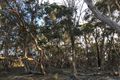 Property photo of LOT 1 Creewah Road Creewah NSW 2631