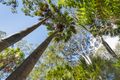 Property photo of 47 Florida Road Palm Beach NSW 2108