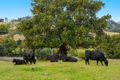 Property photo of 474 Lismore Road Binna Burra NSW 2479