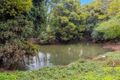 Property photo of 474 Lismore Road Binna Burra NSW 2479