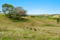 Property photo of 474 Lismore Road Binna Burra NSW 2479