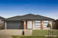 Property photo of 8 Whitecross Drive Thornhill Park VIC 3335