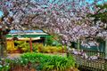 Property photo of 10 Palm Place Surfside NSW 2536