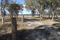 Property photo of LOT 10 Greaney Road Greenlands QLD 4380