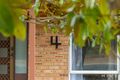 Property photo of 4 Inglis Place Latham ACT 2615