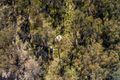 Property photo of 44 Triangle Swamp Road Bocoble NSW 2850