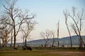 Property photo of 1074 Table Top Road Table Top NSW 2640