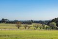 Property photo of 195 Wallaces Road Dromana VIC 3936