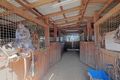 Property photo of 116 Douglas Road Alloway QLD 4670