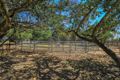 Property photo of 116 Douglas Road Alloway QLD 4670